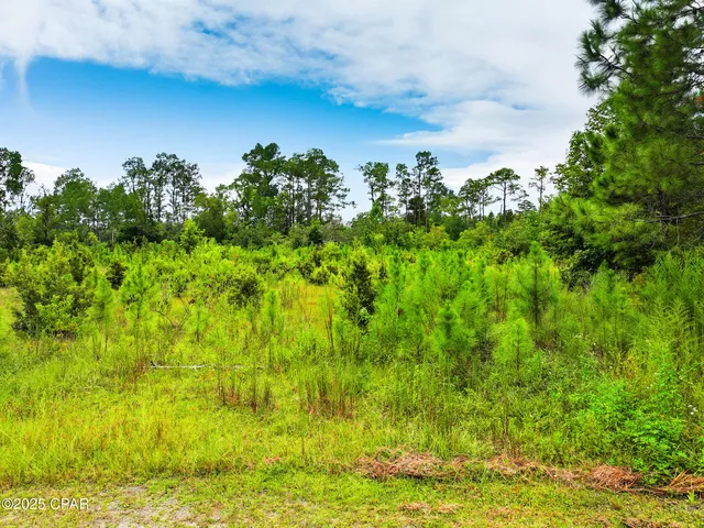 $1,400,000 | Tbd Sealy Drive, Wewahitchka, FL 32465