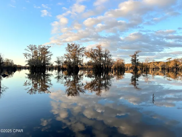 $1,400,000 | Tbd Sealy Drive, Wewahitchka, FL 32465