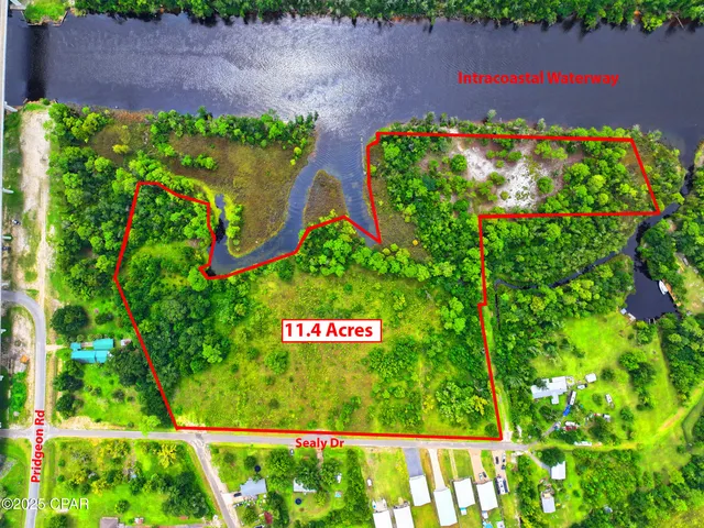 $1,400,000 | Tbd Sealy Drive, Wewahitchka, FL 32465
