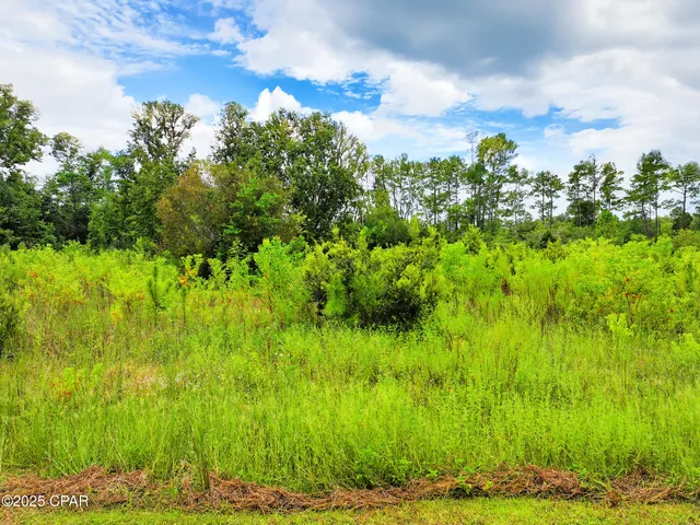 $1,400,000 | Tbd Sealy Drive, Wewahitchka, FL 32465