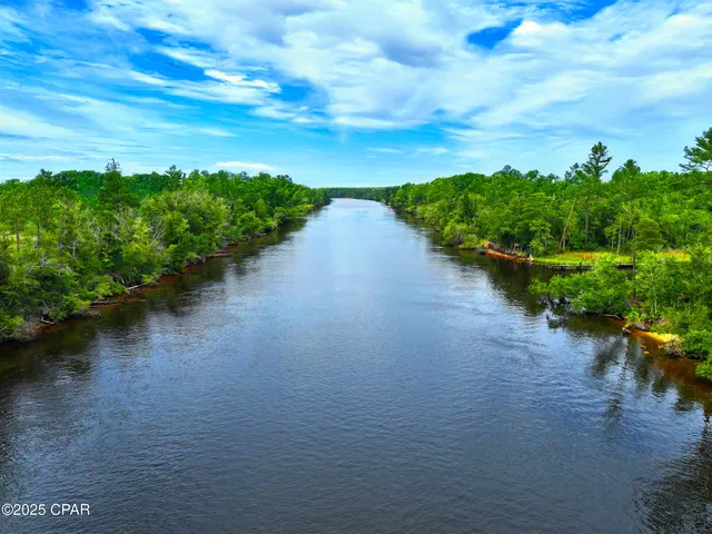 $1,400,000 | Tbd Sealy Drive, Wewahitchka, FL 32465