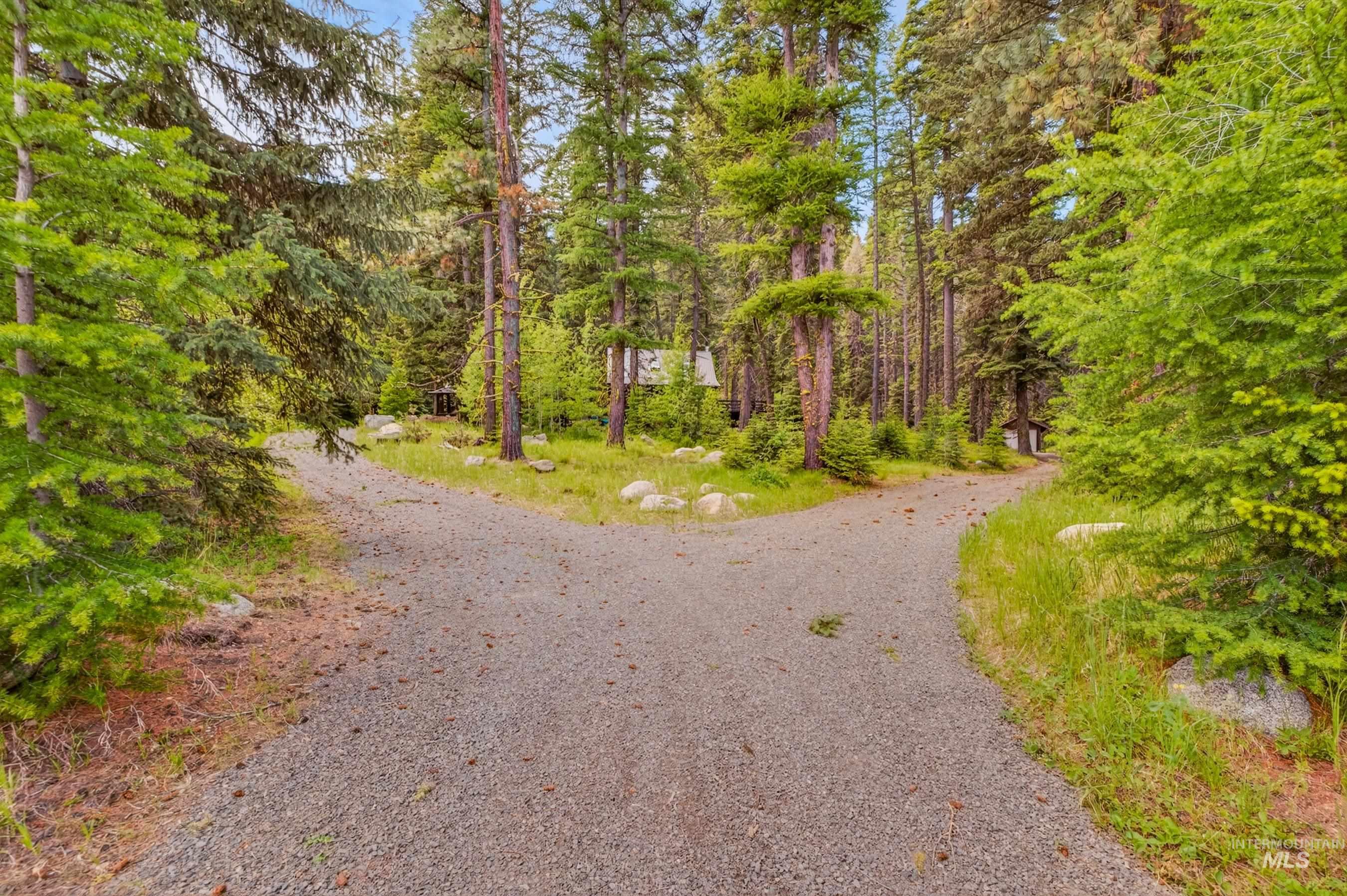 2339 West Mountain Road Donnelly, ID 83615 - Photo 35 of 37 Gravel drive with a split pathway, surrounded by mature evergreen trees and natural landscaping