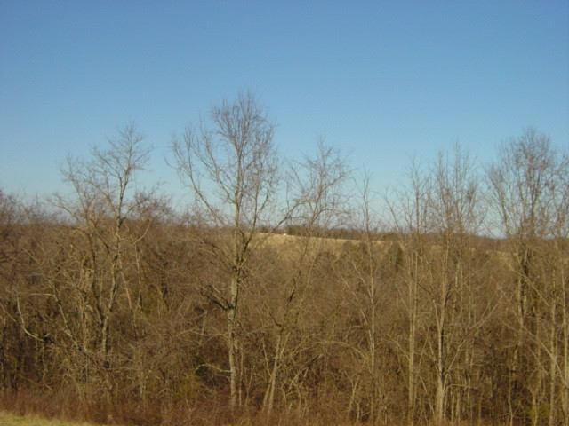 1339 Chaney Road Brooksville, KY 41004 - Photo 7 of 18 Gallery Image 7