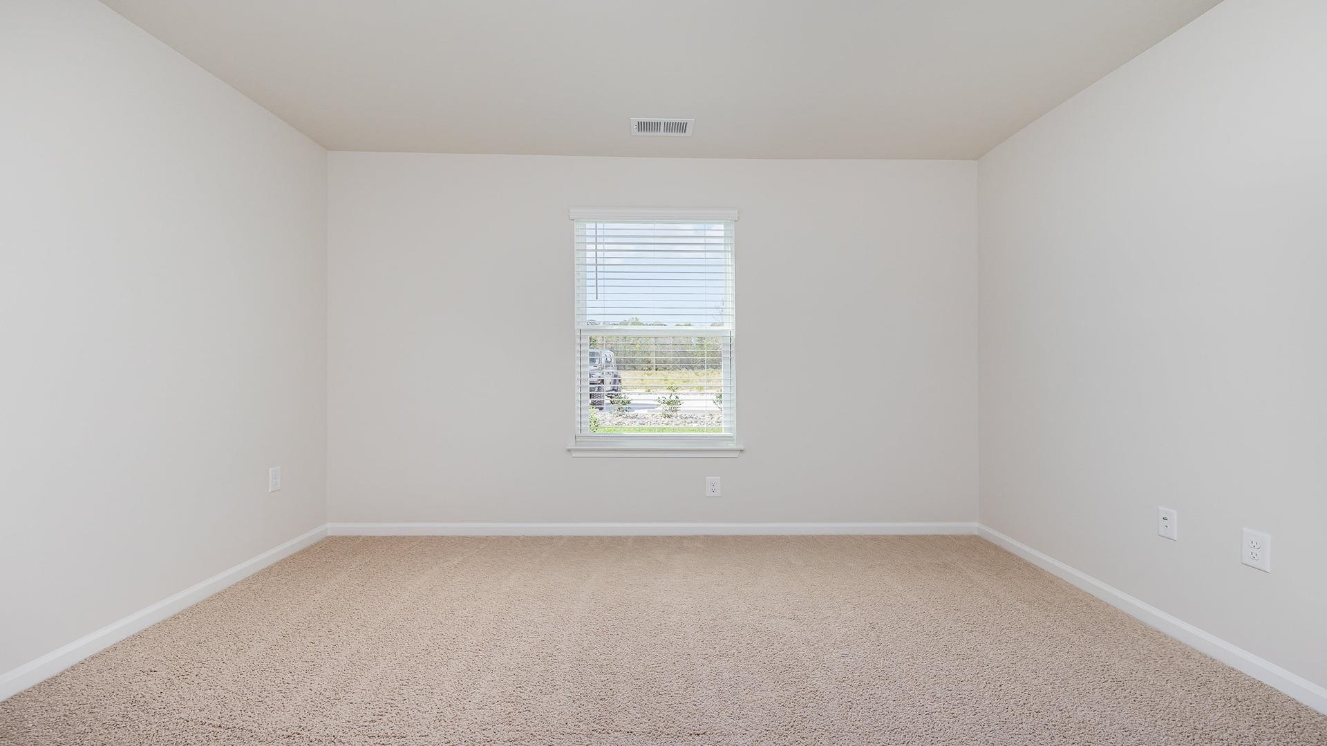 280 Red Buckeye Drive Conway, SC 29527 - Photo 26 of 26