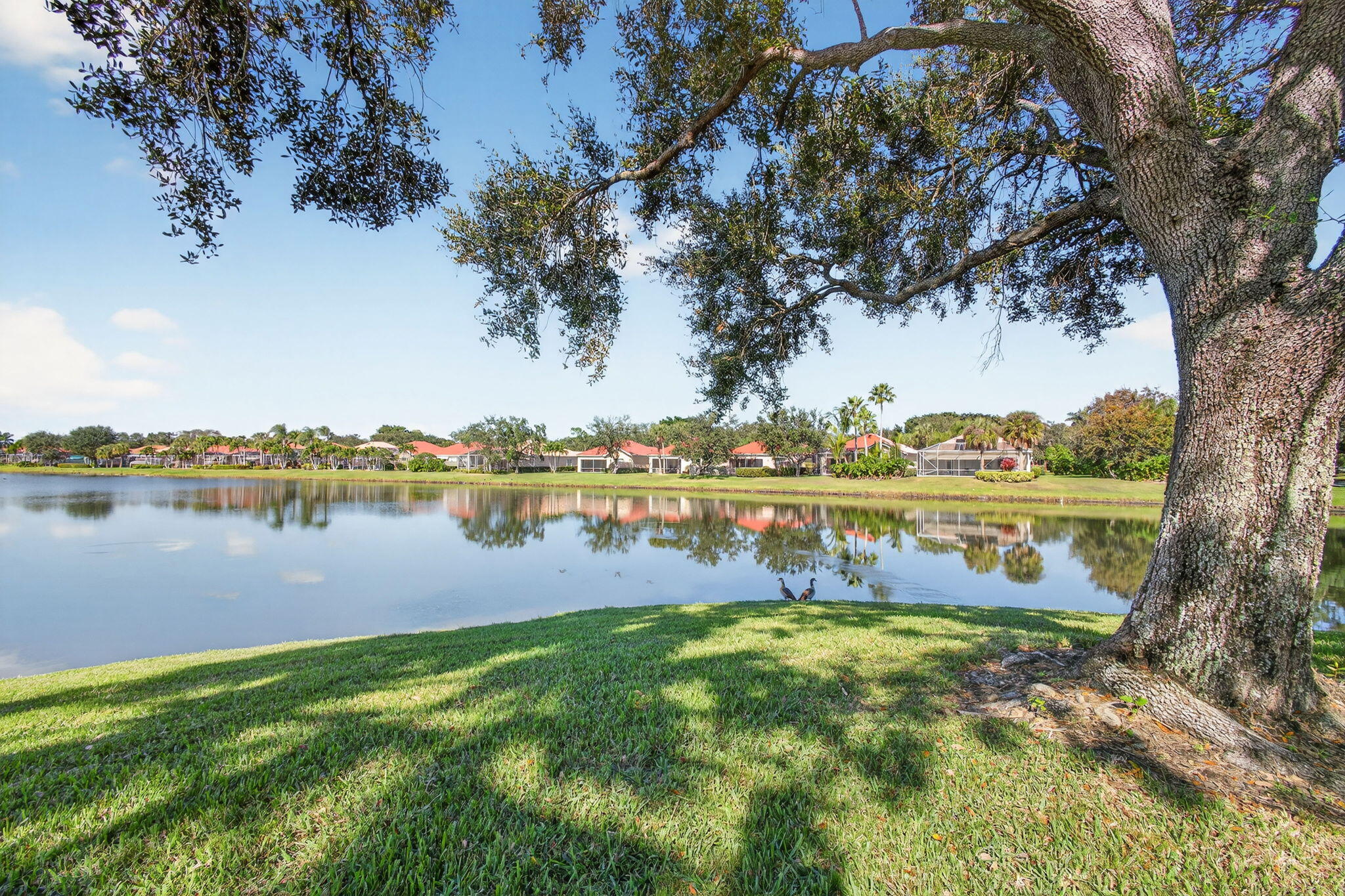 1035 Southwest Tamarrow Place Stuart, FL 34997 - Photo 40 of 42 a view of lake with houses