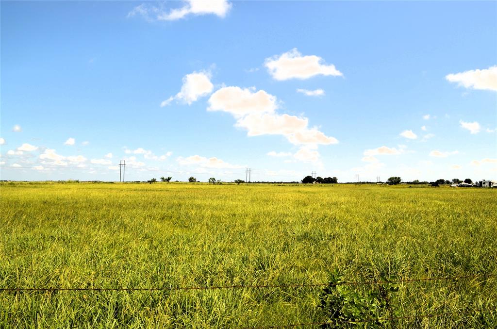 0 Tarlton Road Mabank, TX 75147 - Photo 10 of 13