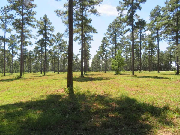 $172,800 | Xxxx Solomon Dairy Road, Quincy, FL 32352