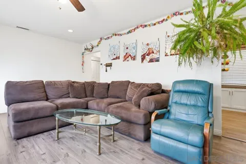 a living room with furniture and a potted plant