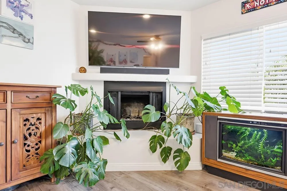 712 Lemon Avenue Vista, CA 92084 - Photo 7 of 29 a view of front door with potted plant