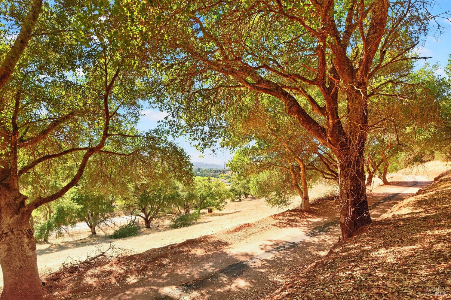 318 Crystal Springs Road St. Helena, CA 94574 - Photo 19 of 24 Gallery Image 19