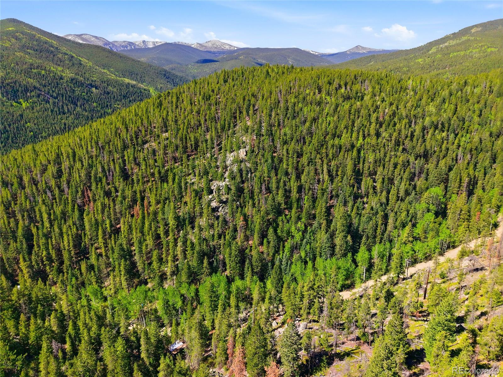 600 Ute Creek Road Idaho Springs, CO 80452 - Photo 12 of 24 a view of a lush green forest with a lake