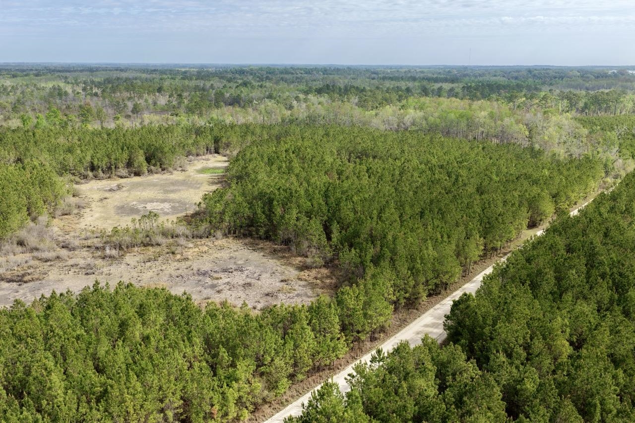 Vacant Southwest Vacant Sw Captain Brown Road Madison, FL 32340 - Photo 15 of 37