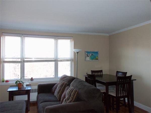 60 Sutherland Road, Unit 7 Boston, MA 02135 - Photo 9 of 12 Gallery Image 9