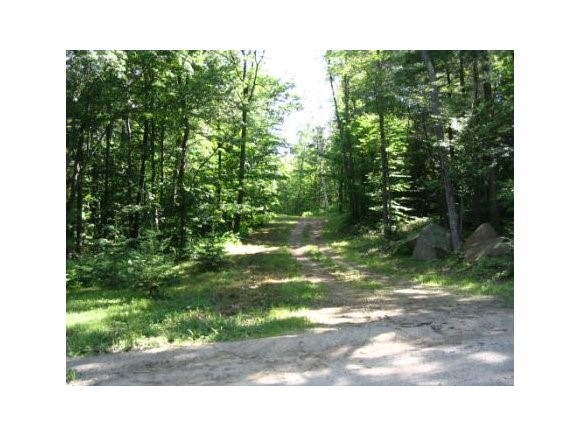Tolman Pond Road Nelson, NH 03457 - Photo 1 of 1