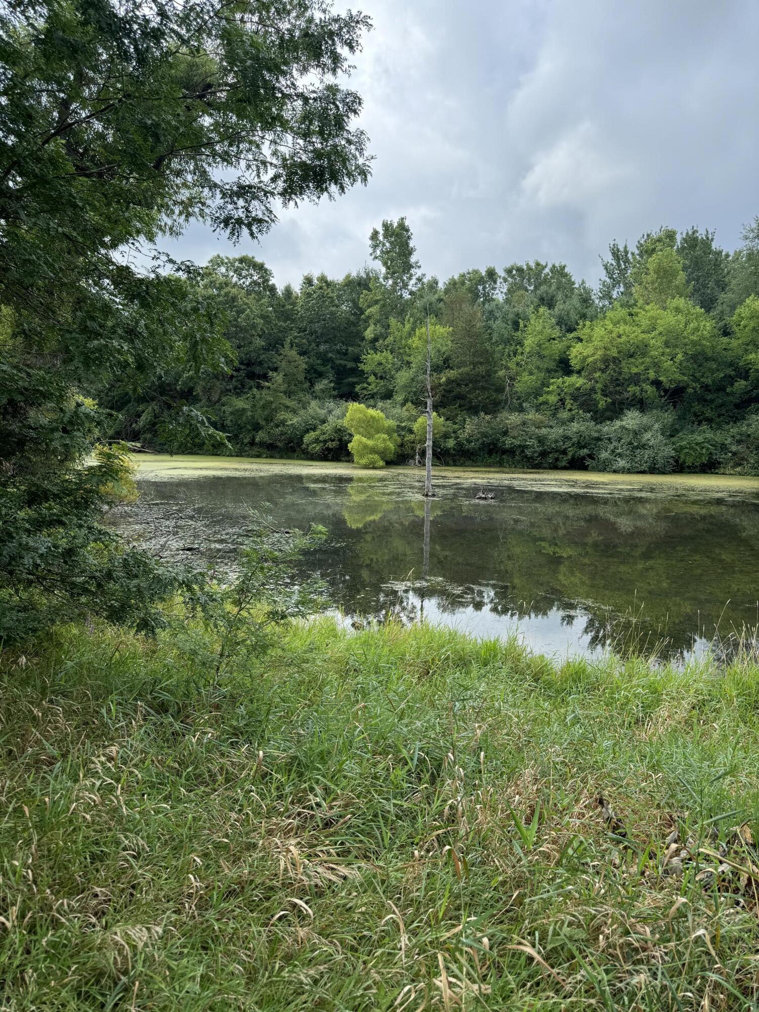 227 Riviera Drive Brooklyn, MI 49230 - Photo 2 of 4 IMG_2472