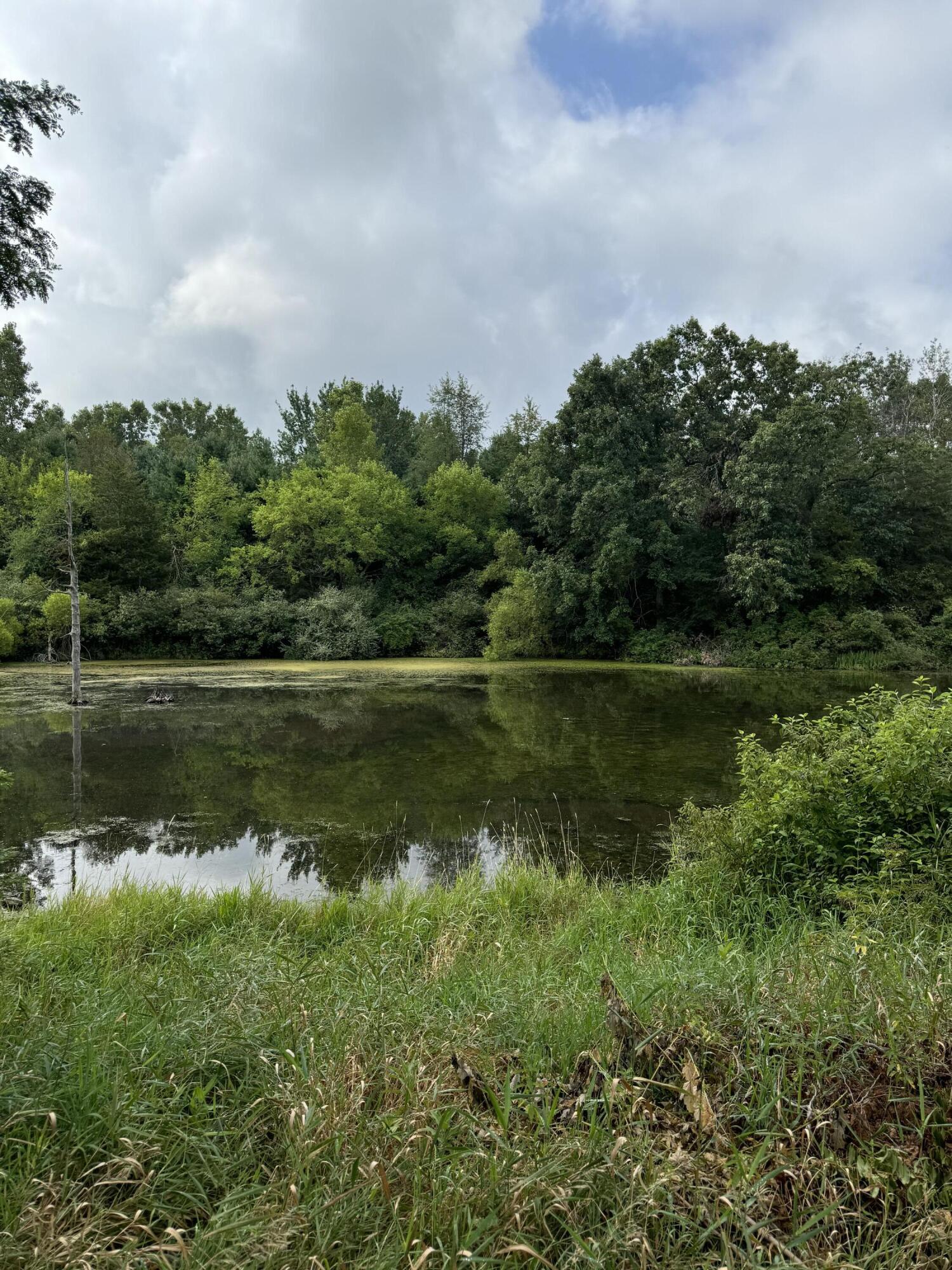 227 Riviera Drive Brooklyn, MI 49230 - Photo 3 of 4 IMG_2471