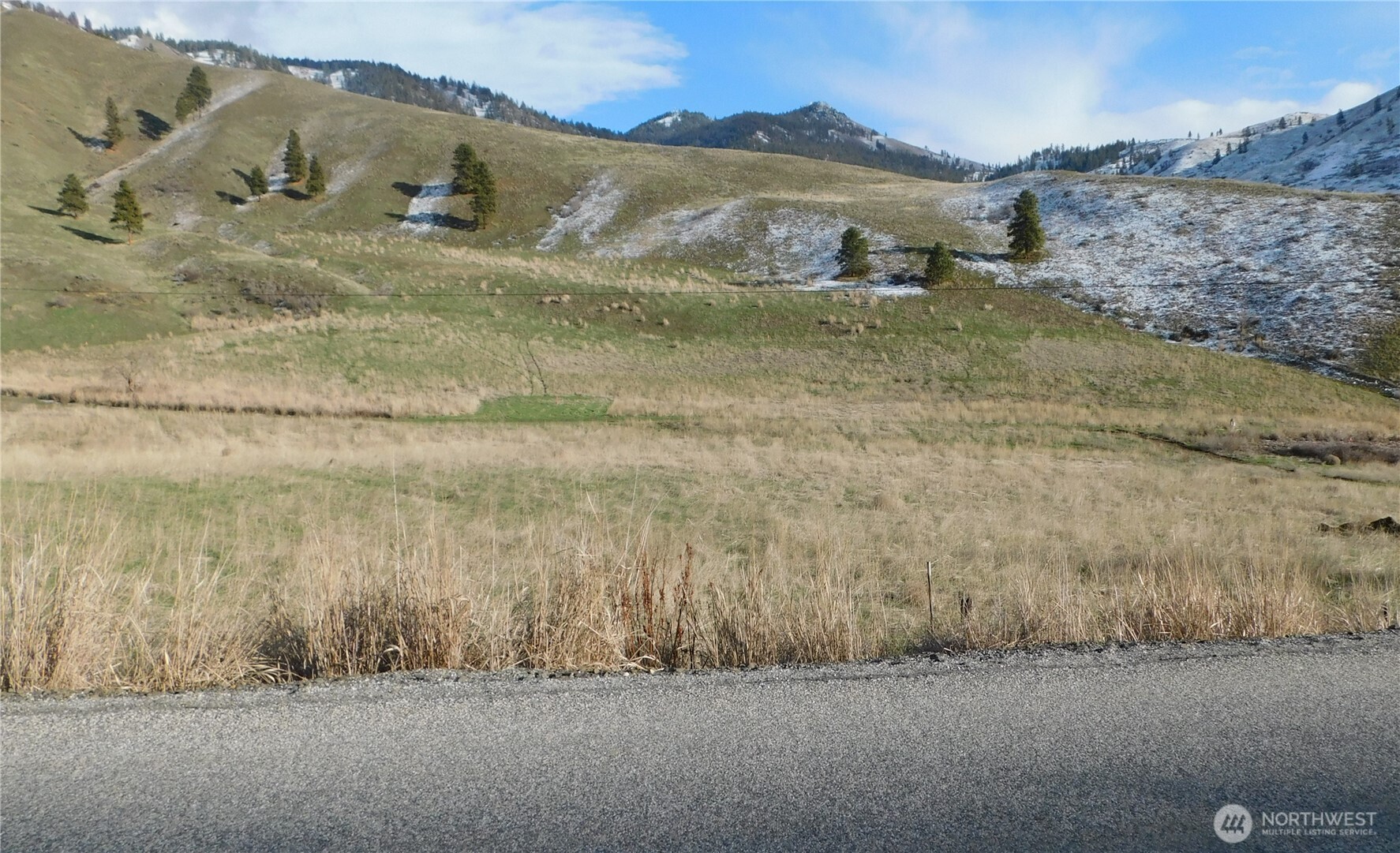 a view of a dry yard with mountain