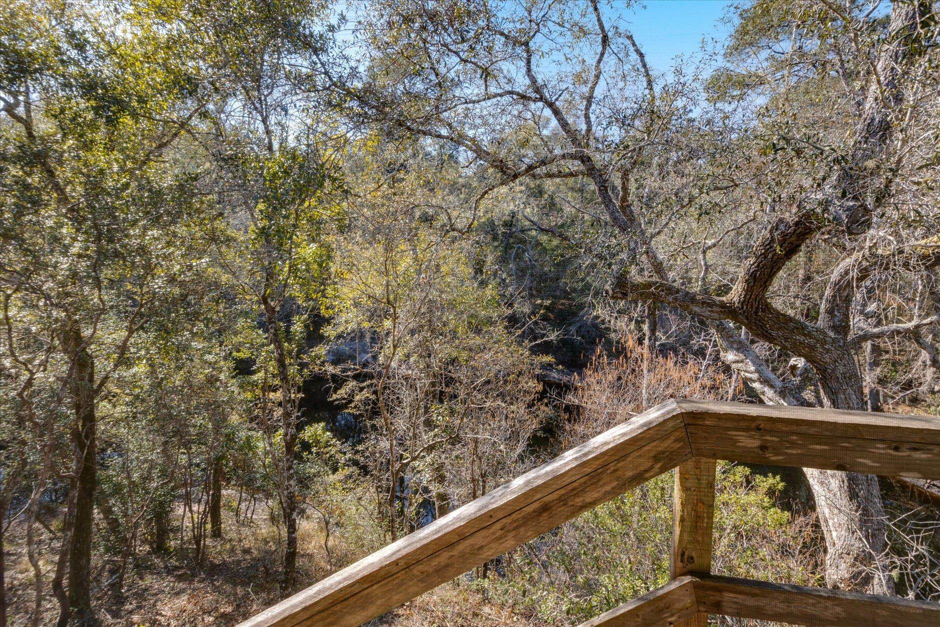 14 Lizard Lane Sopchoppy, FL 32358 - Photo 13 of 36