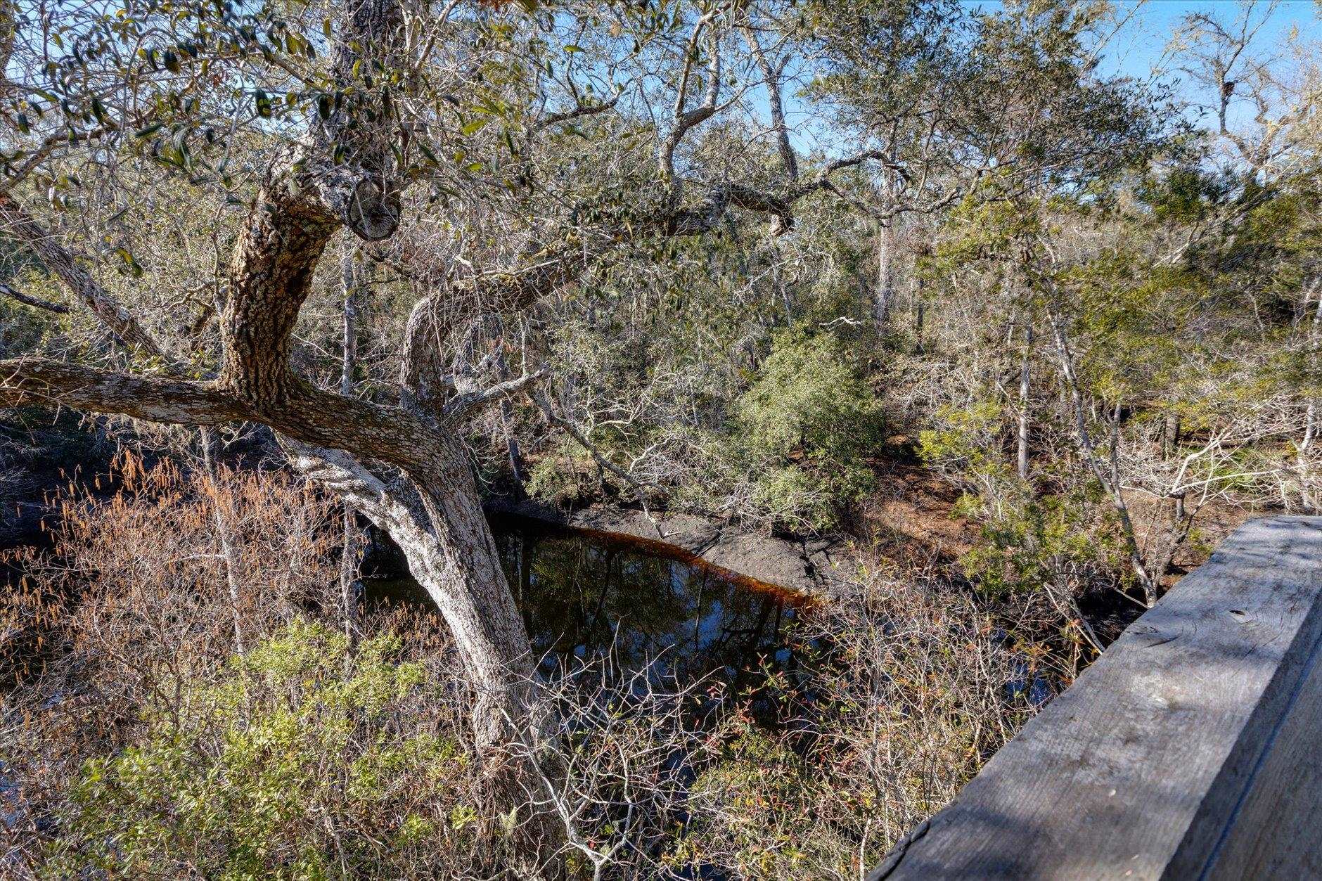 14 Lizard Lane Sopchoppy, FL 32358 - Photo 14 of 36