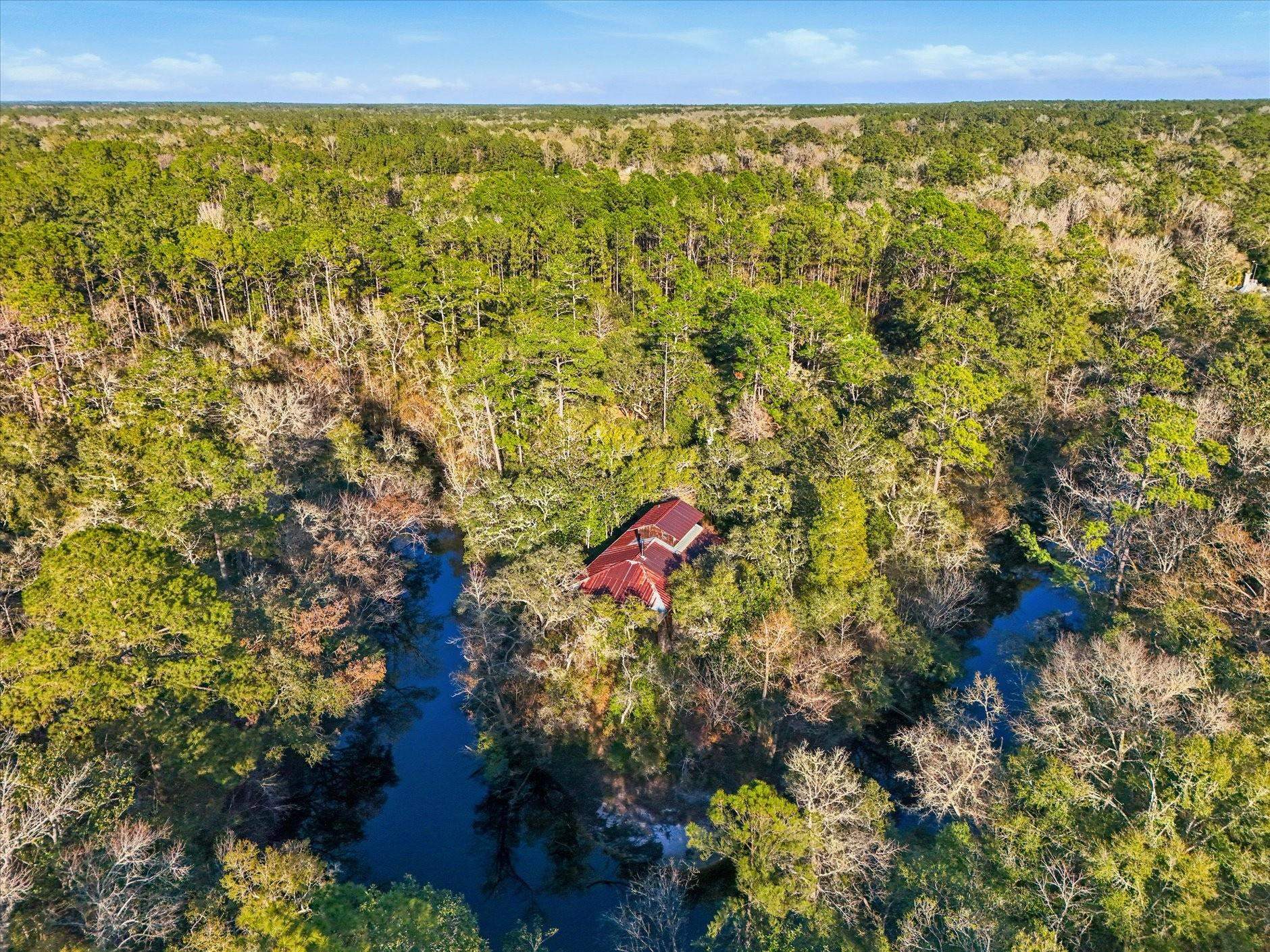 14 Lizard Lane Sopchoppy, FL 32358 - Photo 33 of 36