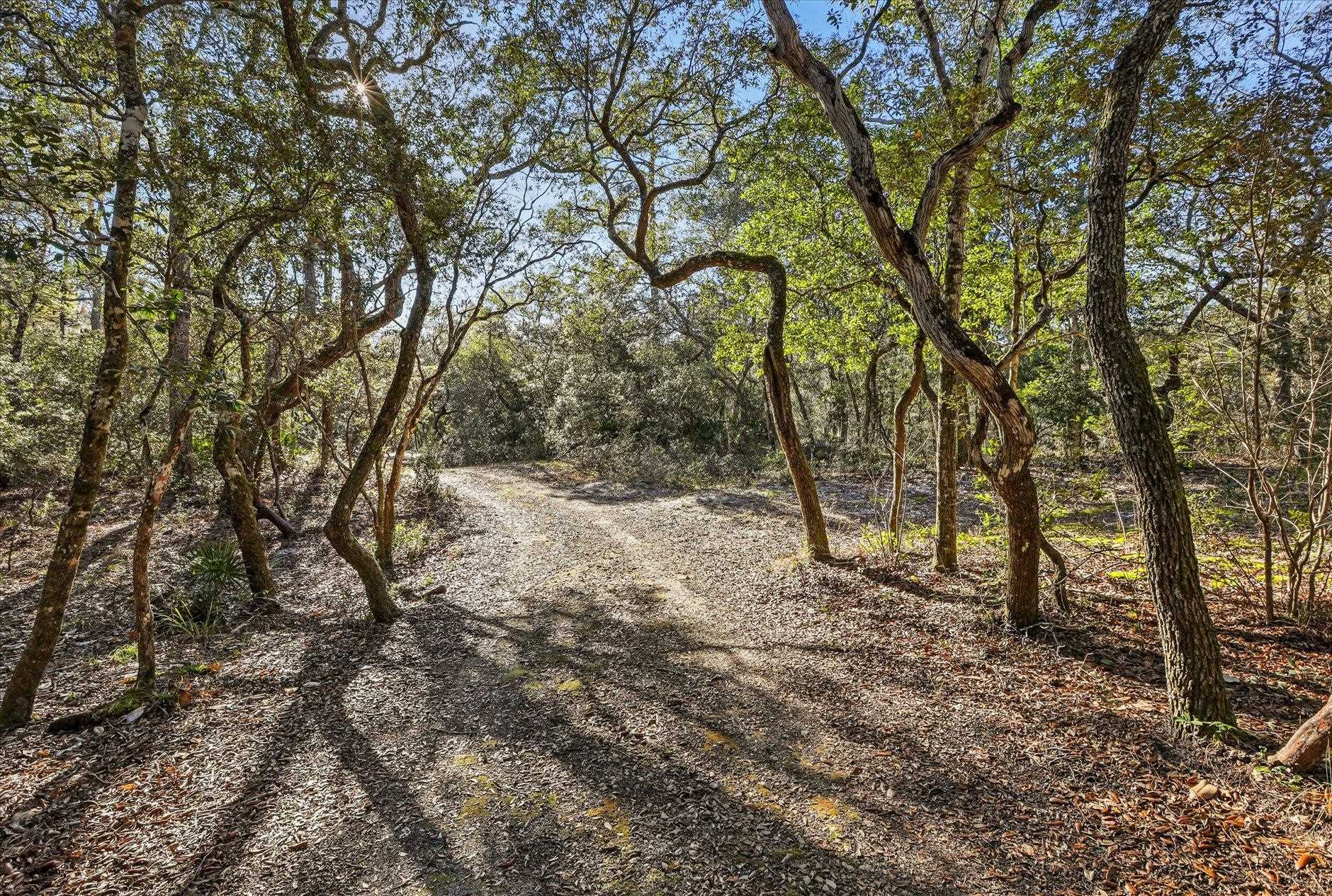 14 Lizard Lane Sopchoppy, FL 32358 - Photo 6 of 36