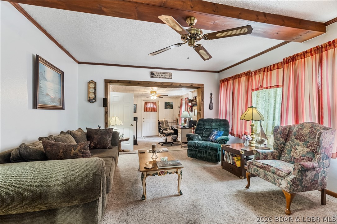 25 Lone Oak Point Sunrise Beach, MO 65079 - Photo 3 of 28