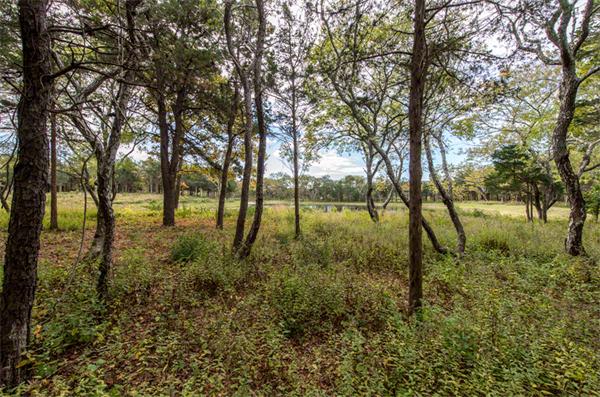 8 Noras Way Edgartown, MA 02539 - Photo 4 of 8 Gallery Image 4