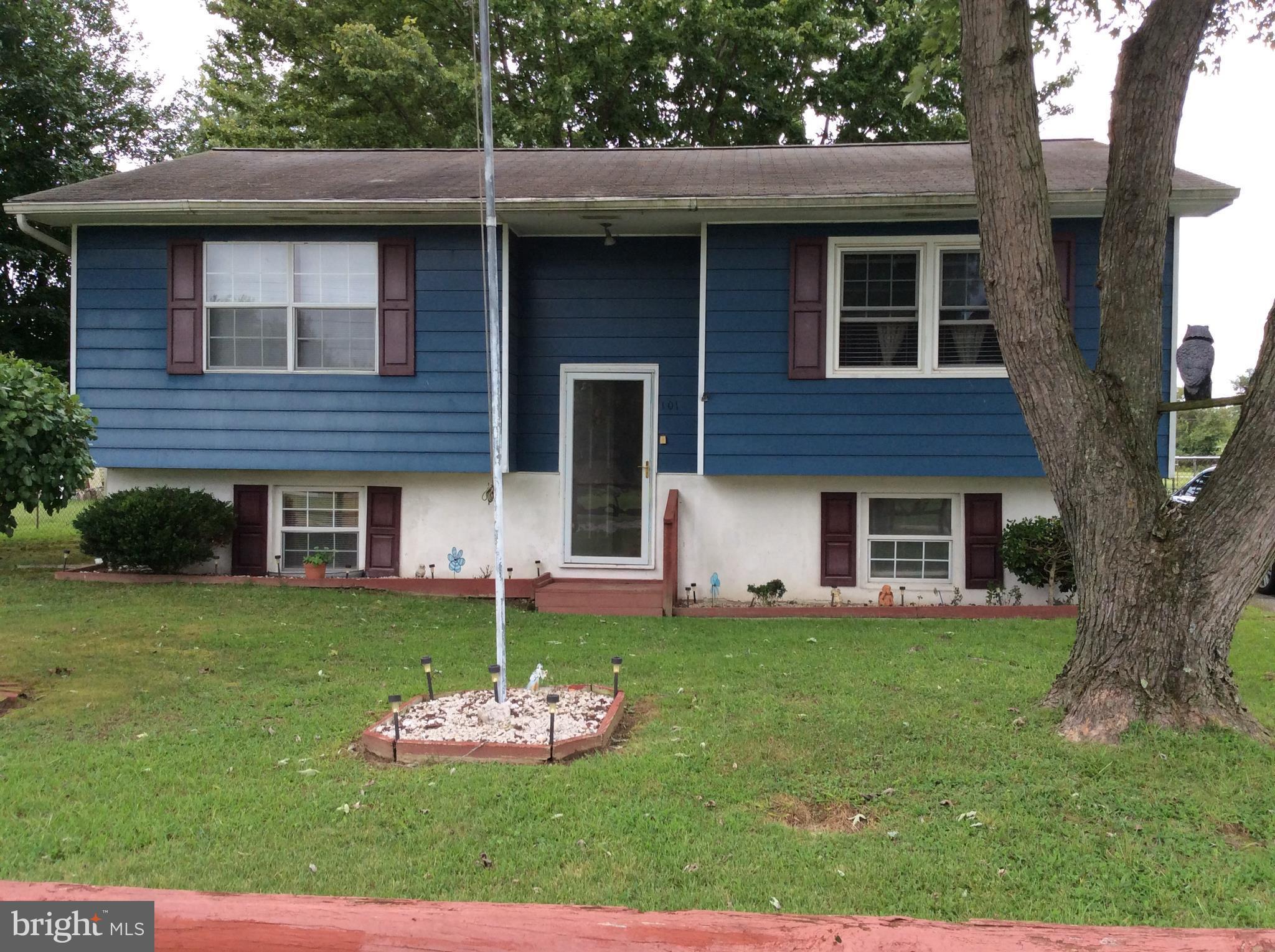 101 Roe Street Greensboro, MD 21639 - Photo 1 of 3 A lot of house for the money