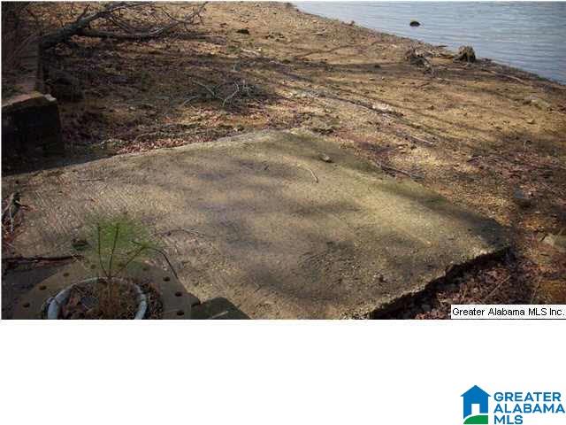 0 Hamilton Road, Unit 1 ACRE Pell City, AL 35128 - Photo 9 of 31