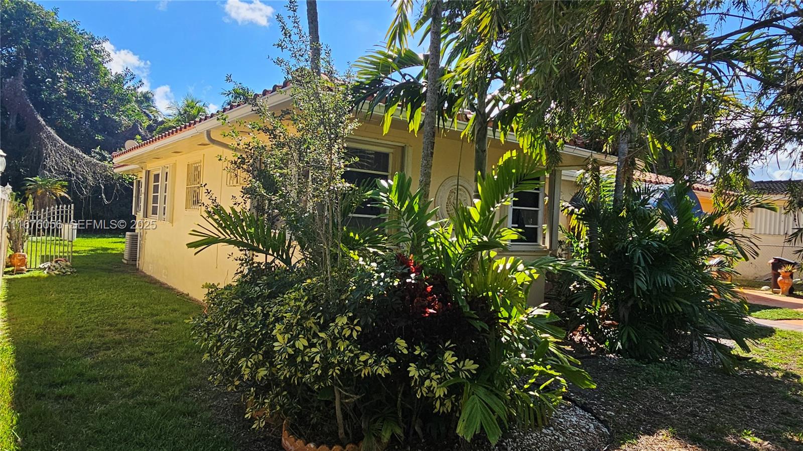 156 Northwest 88th Street El Portal, FL 33150 - Photo 20 of 56 a view of a big yard with plants and large trees