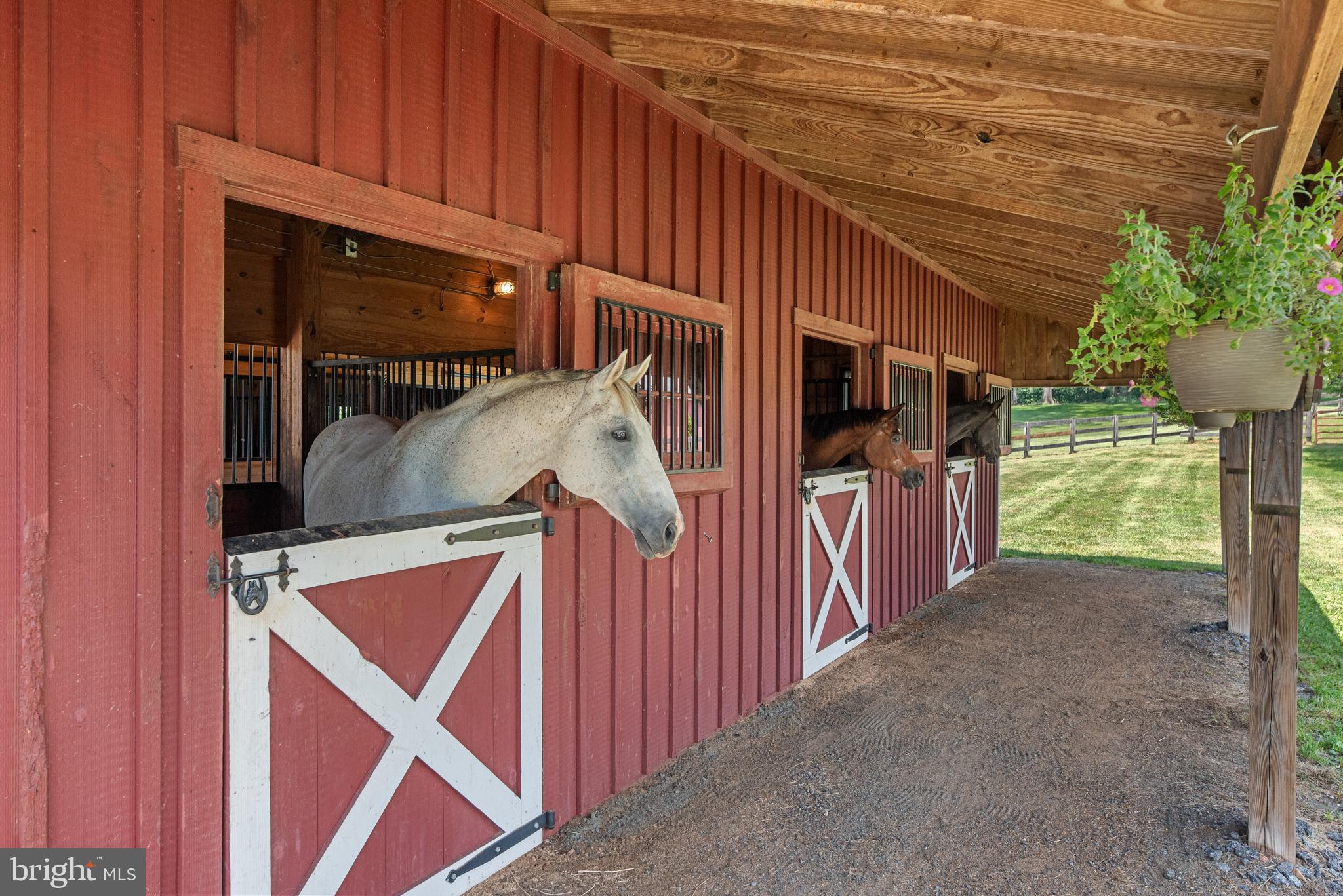 3574 Sharp Road Glenwood, MD 21738 - Photo 7 of 59