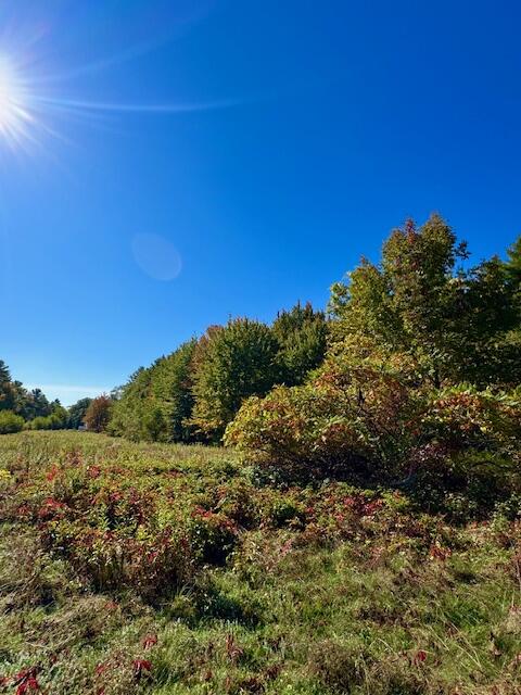 Lot 2 Oak Hill Road Norridgewock, ME 04957 - Photo 13 of 16