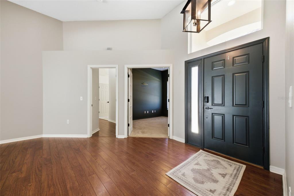 3209 Partridge Point Trail Valrico, FL 33596 - Photo 5 of 66