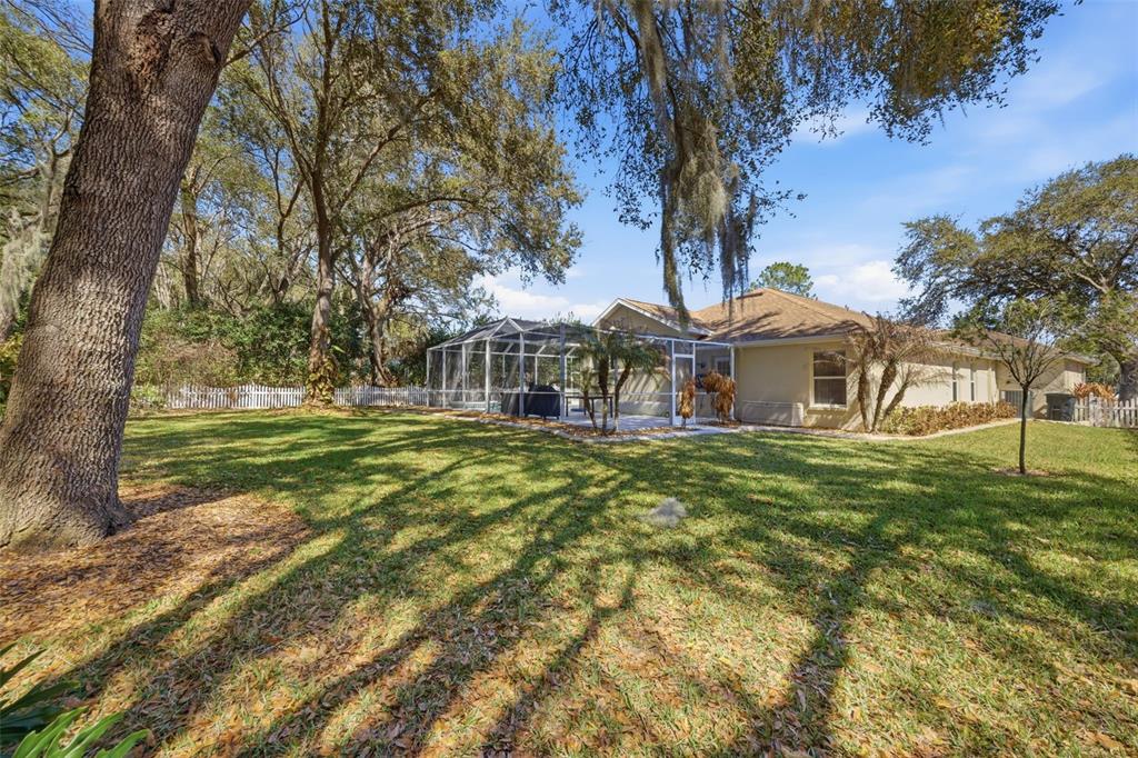 3209 Partridge Point Trail Valrico, FL 33596 - Photo 61 of 66 a view of a house with a big yard