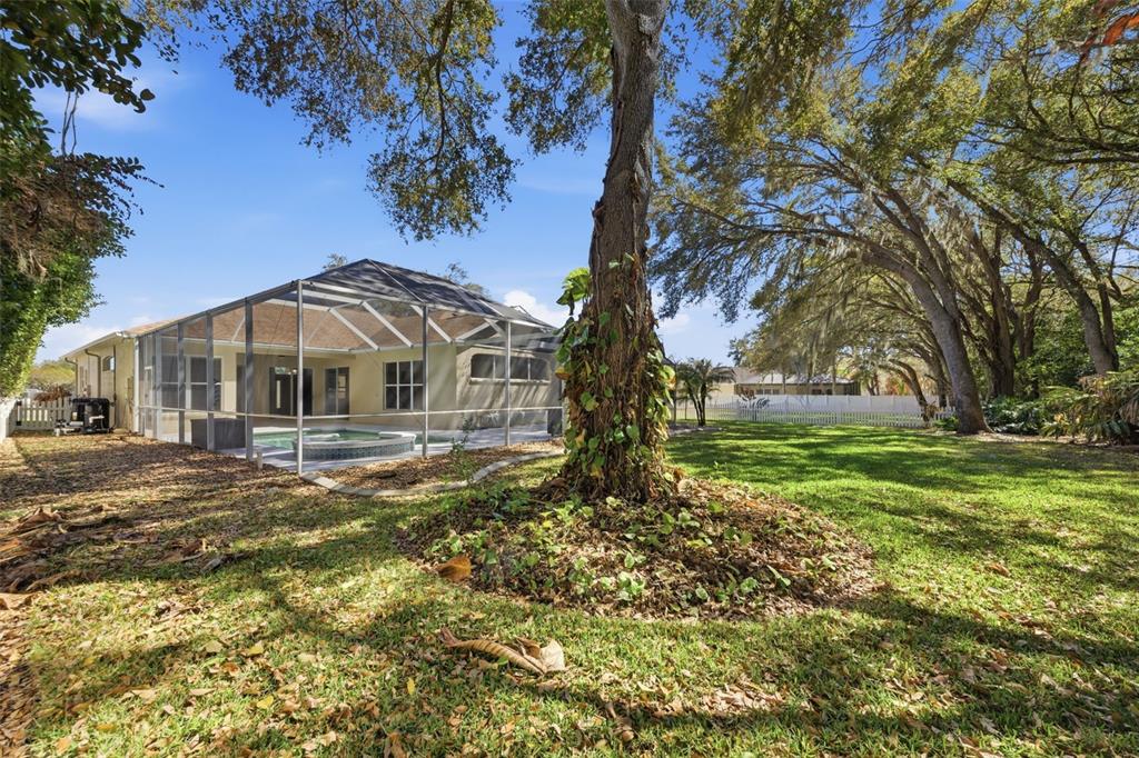 3209 Partridge Point Trail Valrico, FL 33596 - Photo 65 of 66 a front view of house with yard and green space