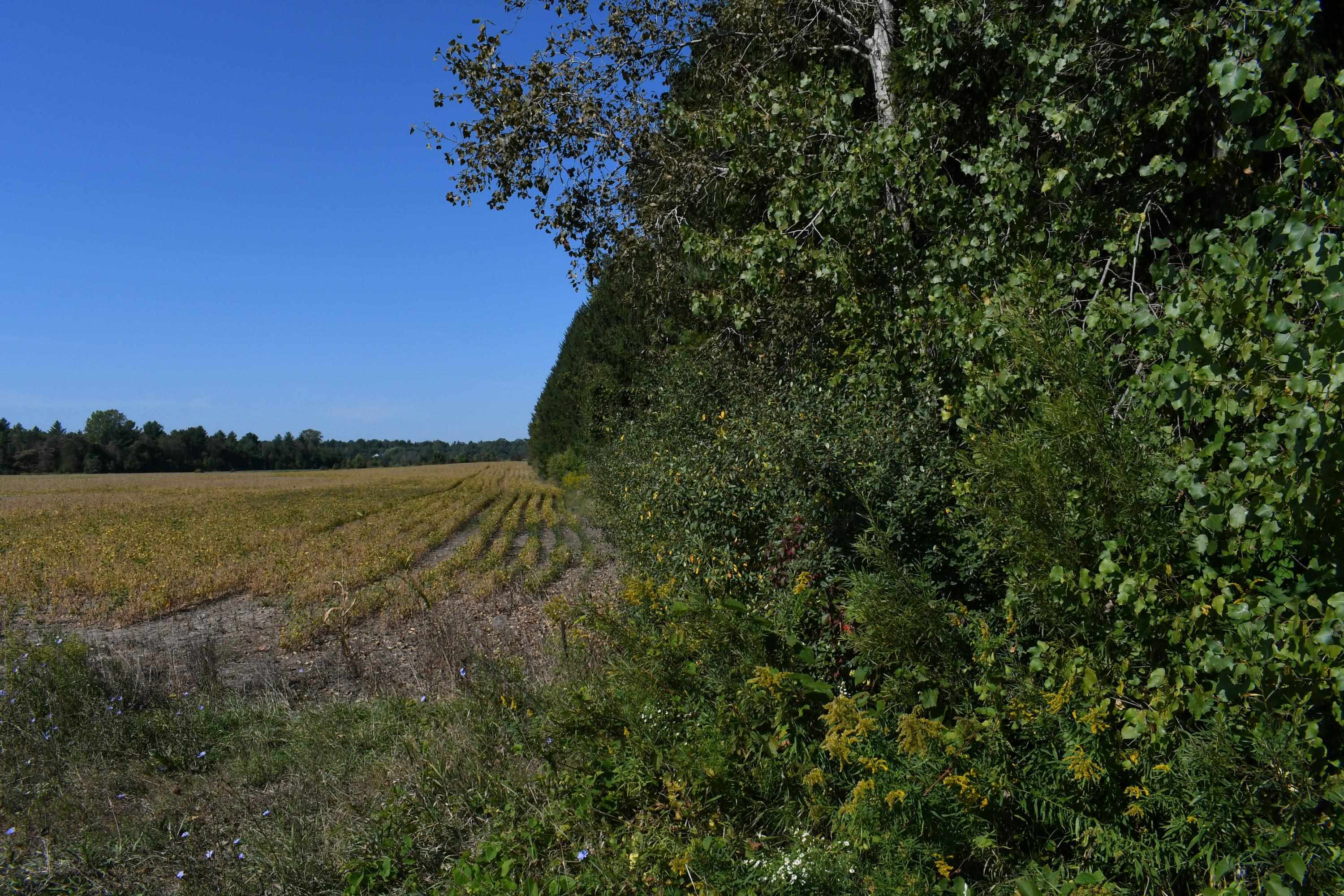 0 North Kobs Road Tawas City, MI 48763 - Photo 12 of 26