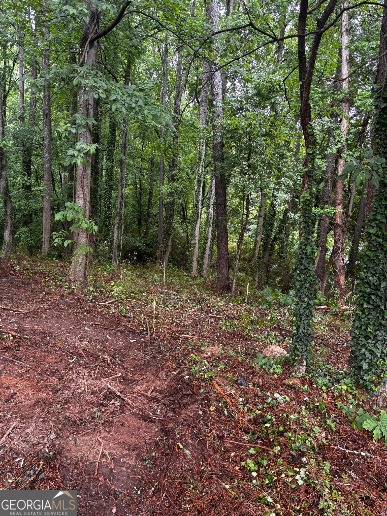 0 Ryman Ridge Road Dalton, GA 30720 - Photo 3 of 6