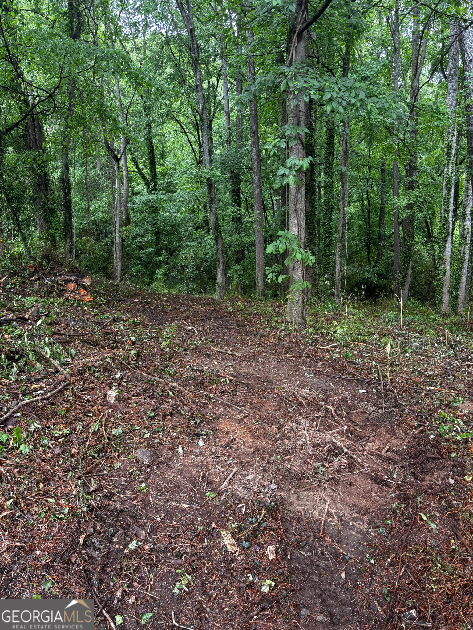 0 Ryman Ridge Road Dalton, GA 30720 - Photo 4 of 6