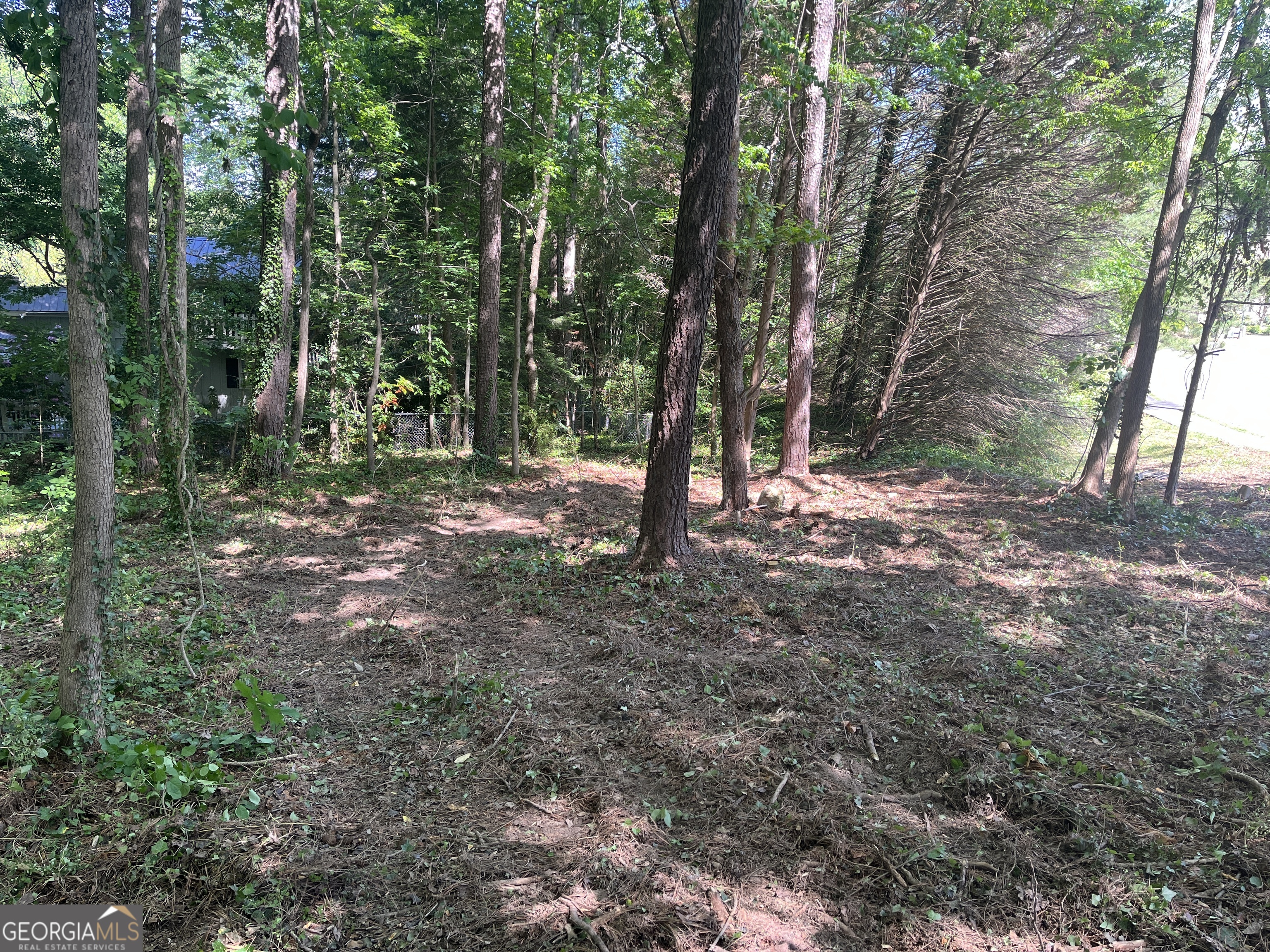 0 Ryman Ridge Road Dalton, GA 30720 - Photo 5 of 6