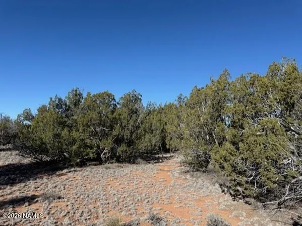 a view of a dry field