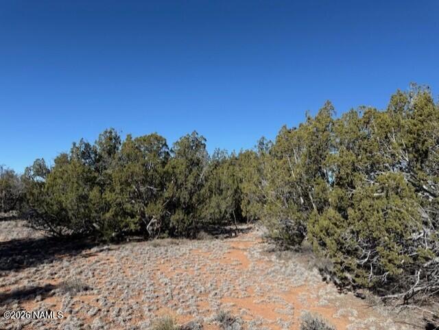 5752 Hidden Ranch Road Williams, AZ 86046 - Photo 14 of 19 a view of a yard with a tree