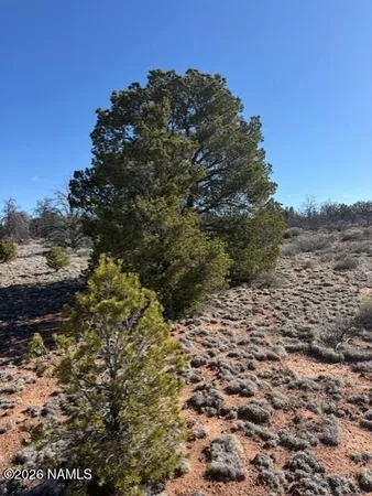$125,000 | 5752 Hidden Ranch Road, Williams, AZ 86046