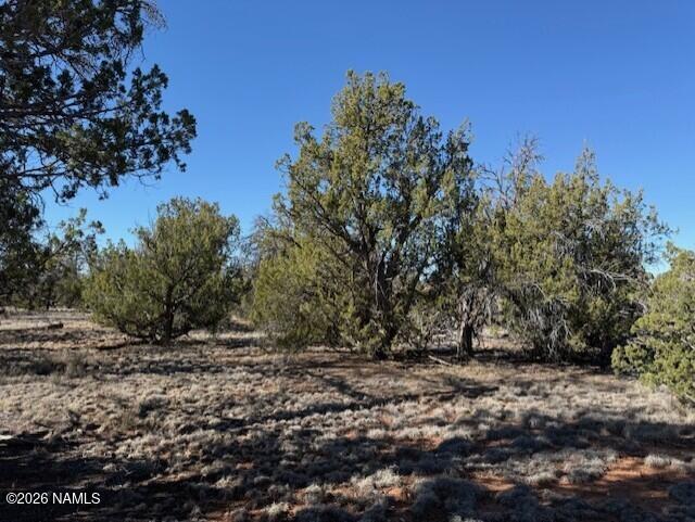 5752 Hidden Ranch Road Williams, AZ 86046 - Photo 2 of 19 a view of outdoor space with tree s