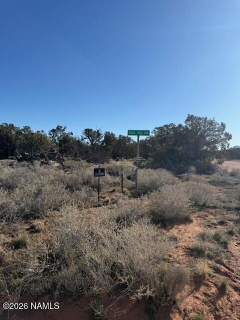 5752 Hidden Ranch Road Williams, AZ 86046 - Photo 7 of 19 a view of a dry field covered with trees
