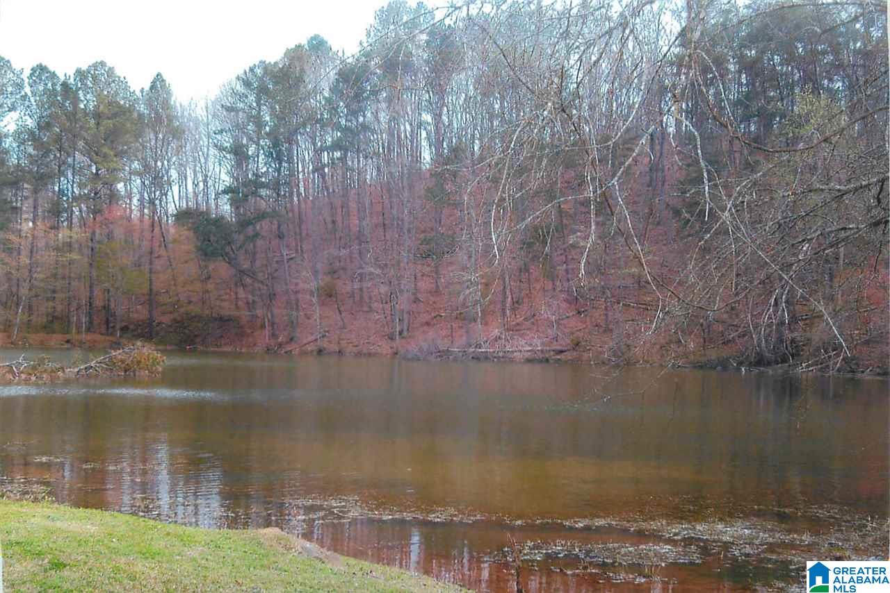 946 Cook Springs Road Pell City, AL 35125 - Photo 2 of 7