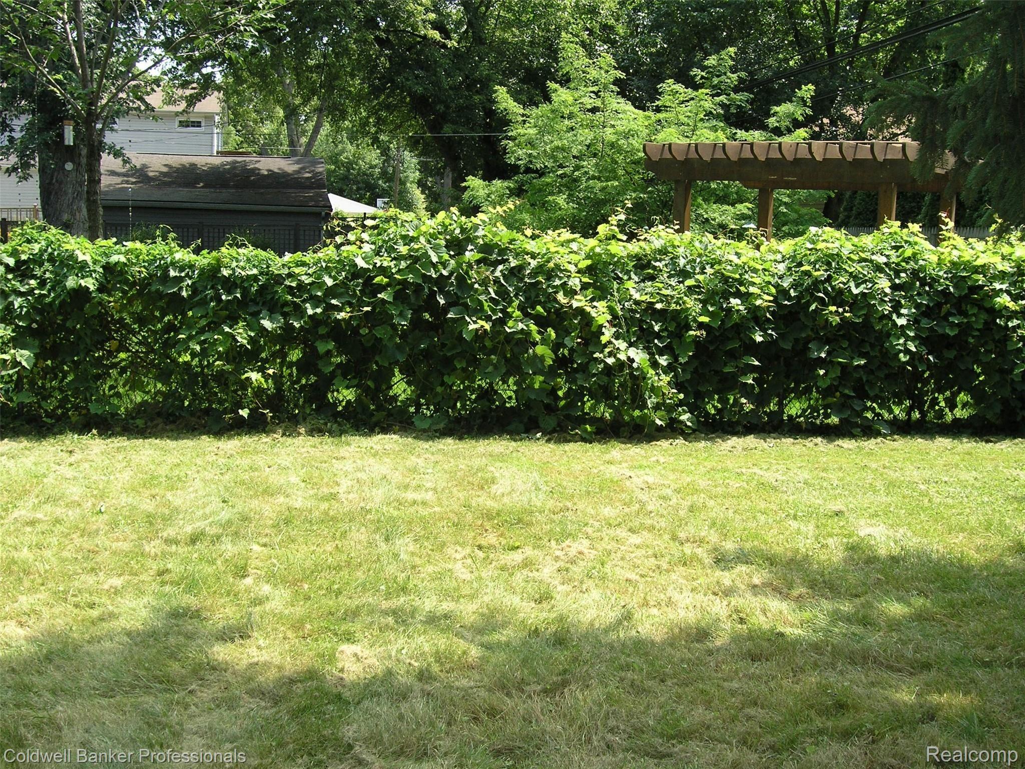 2173 Earlmont Road Berkley, MI 48072 - Photo 30 of 34 Vined Fence Provides Privacy Around Entire Backyard
