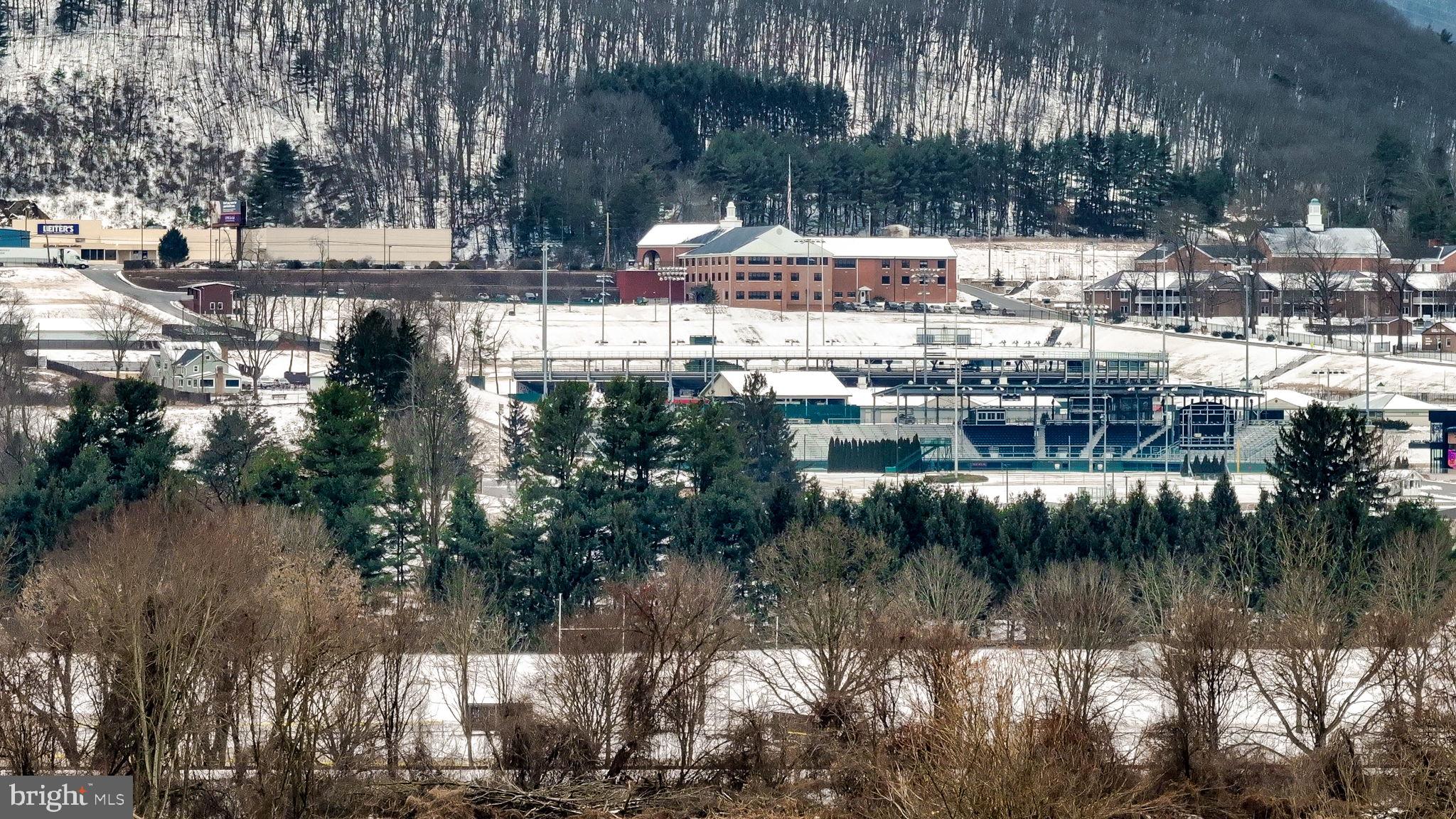 688 Sylvan Dell Road Williamsport, PA 17702 - Photo 66 of 73 Little League World Series-Back of Property