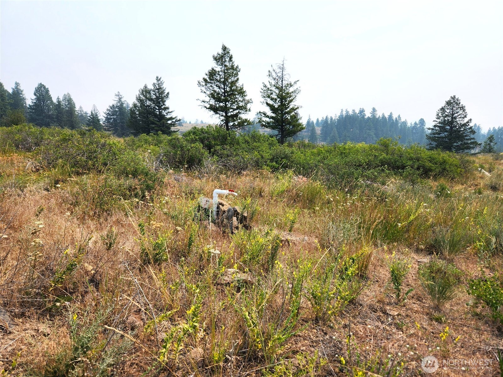 250 Union Ridge Road Republic, WA 99166 - Photo 5 of 10 Gallery Image 5