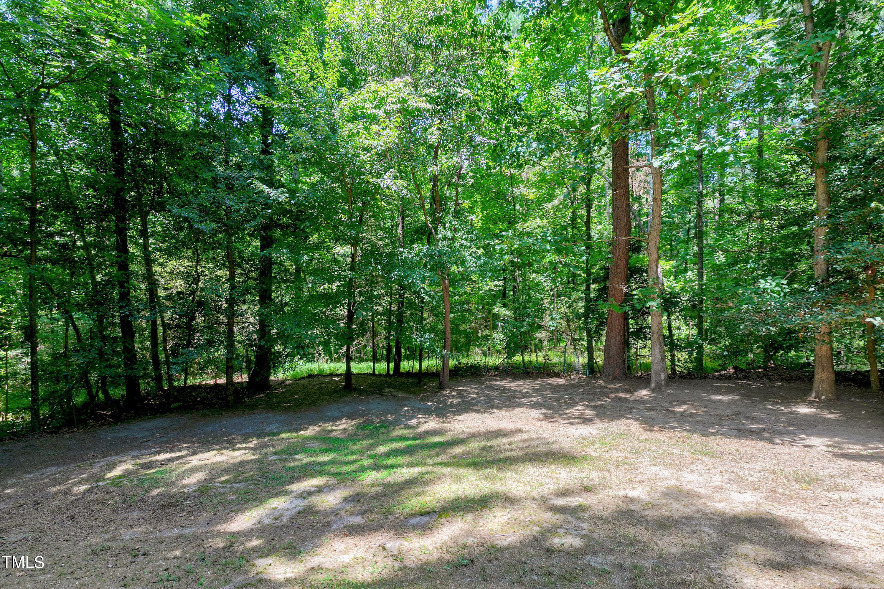 2313 Ruddy Road Raleigh, NC 27616 - Photo 29 of 32 a view of a forest with a trees