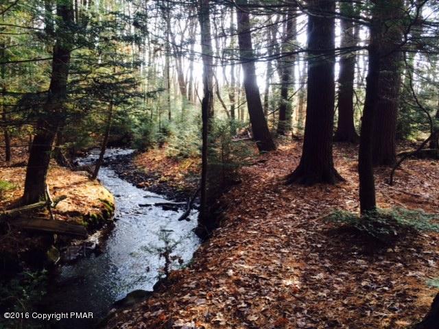 498 Grange Road Mount Pocono, PA 18344 - Photo 28 of 39 Spring in the Woods